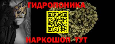 соль ск Канаш