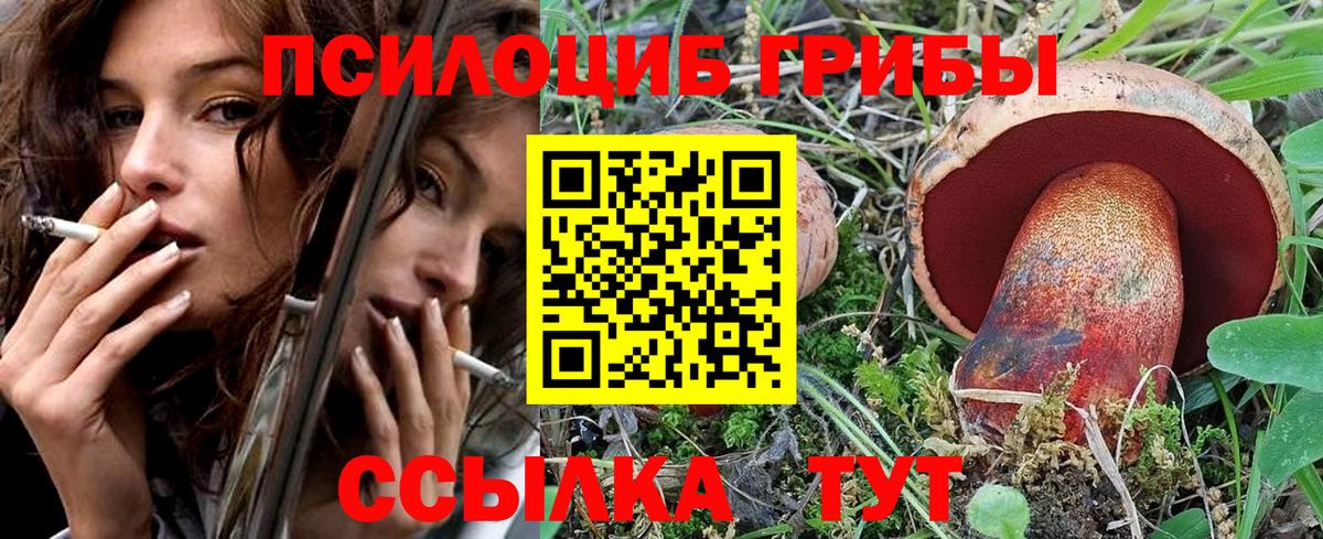 Галлюциногенные грибы мицелий Кызыл